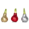 Amaryllis - Set van 3 - Hippeastrum 'Glitter Mix' - Bloembol - Rood