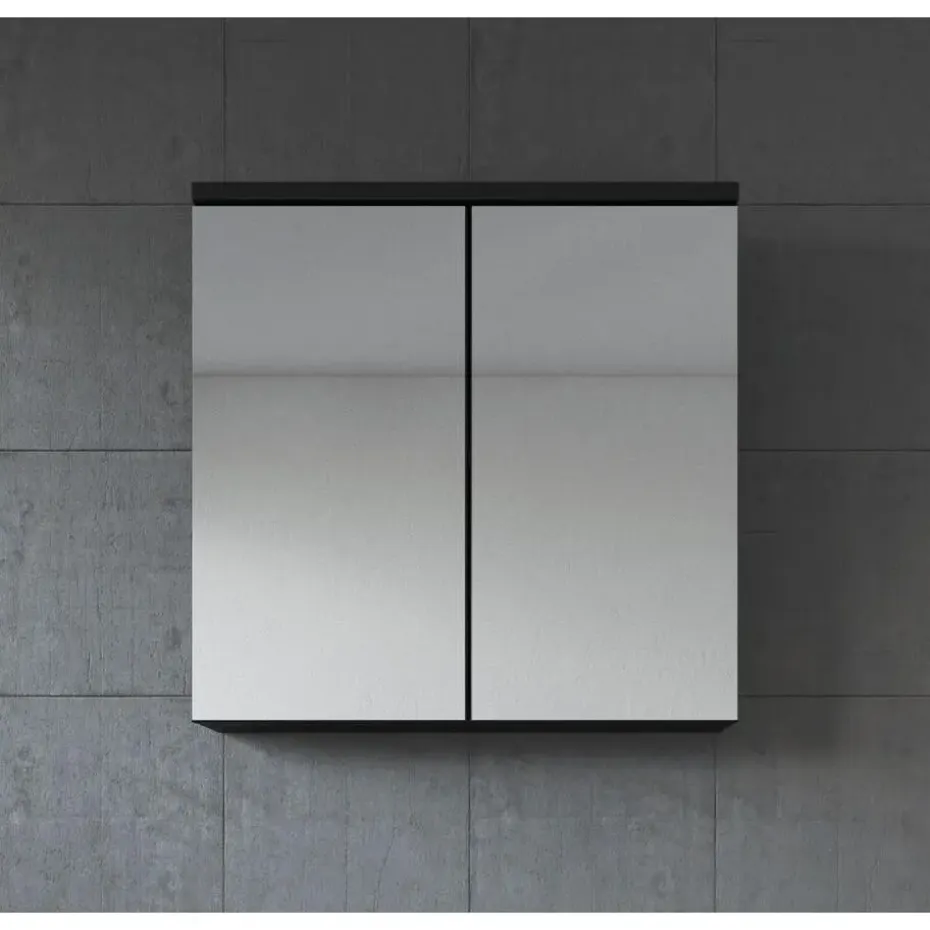 Badplaats Spiegelkast Toledo 60 x 20 x 60 cm - Zwart - Badkamerkast Badkamer
