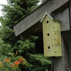 Best for Birds Vogelhuisje - mussenflat - hout - 51 x 19 cm