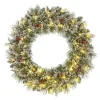 Black Box Trees Vandans Kerstkrans met LED - Ø60 cm - Groen Frosted