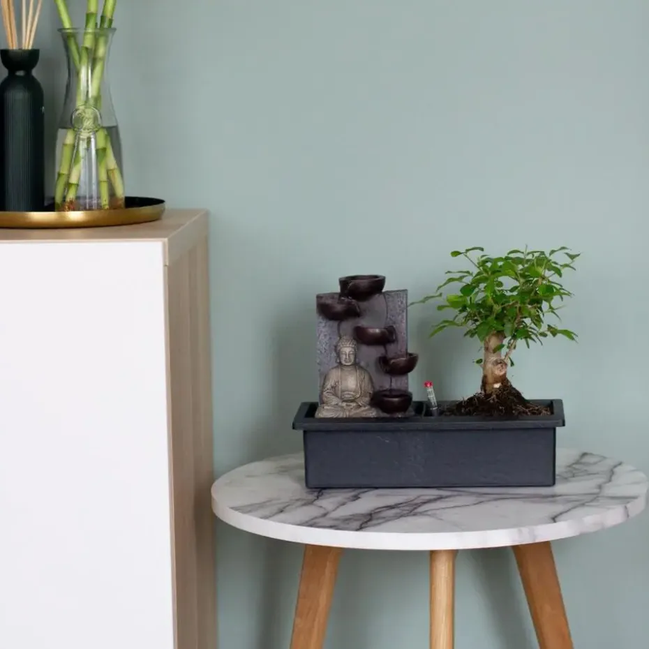 Bonsai met Buddha - Bonsai - Hoogte 25-35cm - ⌀29cm