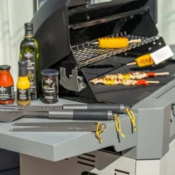Boretti Forza gasbarbecue
