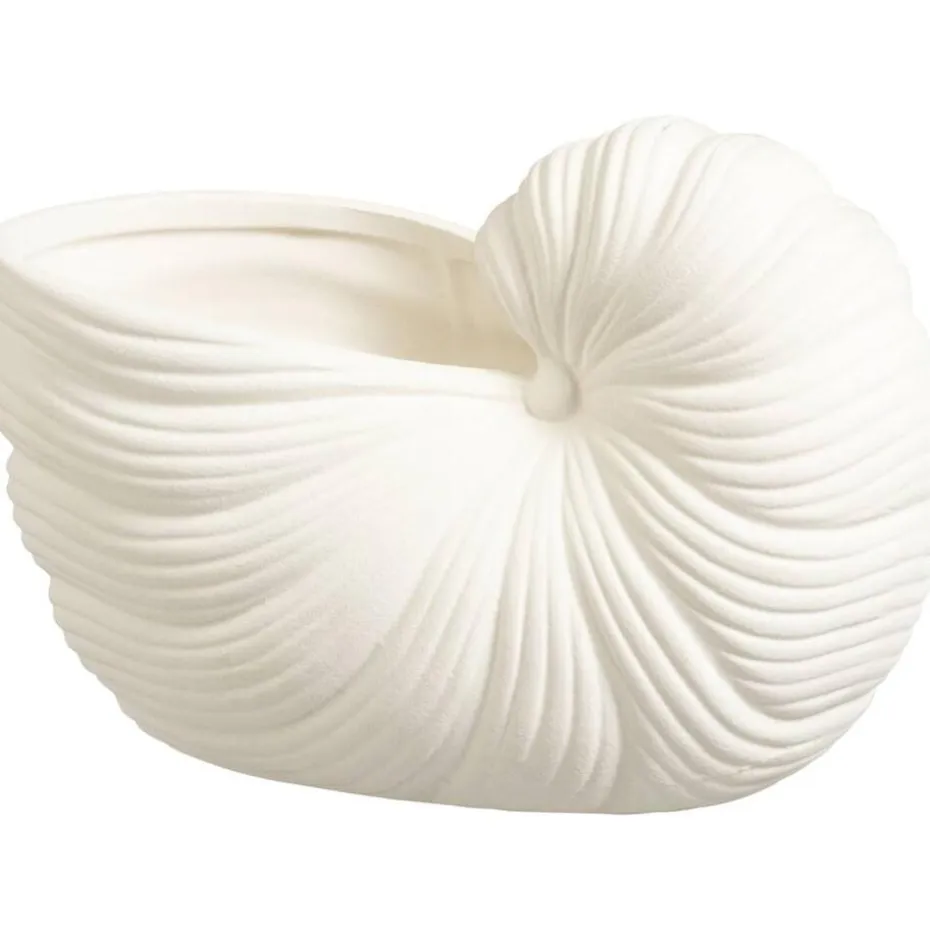 Decoratie object Schelp - off-white - 10x20x12 cm