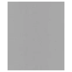 Dutch Wallcoverings - Jungle Fever uni zilver - 0,53x10,05m