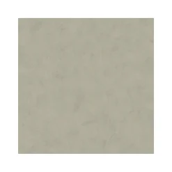 Dutch Wallcoverings - Palma uni donkerbeige - 0,53x10,05m