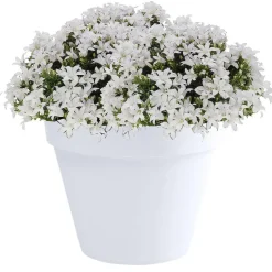 EDA Toscane Bloempot - kunststof - wit - D30 x H26 cm