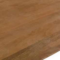 Eettafel Deens Ovaal - Naturel Mangohout - 200x100x75cm - Dai