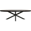 Eettafel Ovaal Zwart Hout - 300x120x76cm - Denver