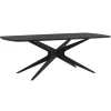 Eettafel Suzanne - zwart - 220x100 cm