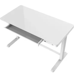Elektrisch verstelbaar bureau / thuiswerkplek - 120x60 cm - Glas wit