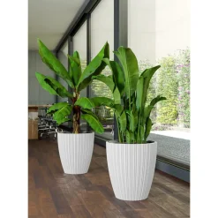 Form Plastic Plantenpot/bloempot - kunststof - zwart - 30 x 48 cm