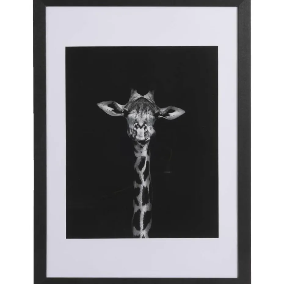 Fotolijst Haarlem - zwart - 50x70 cm