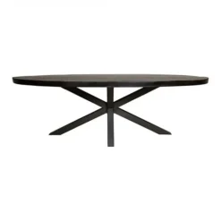 Furndea Eettafel Morada industrieel ovaal mangohout zwart 240x110x76cm