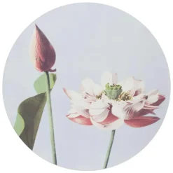 Glasschilderij Elegante Bloem - Ø 70cm - Roze