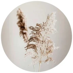 Glasschilderij Pampasgras - Ø 70cm - Beige