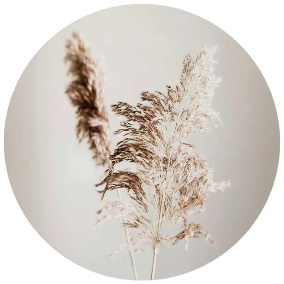 Glasschilderij Pampasgras - Ø 70cm - Beige