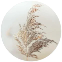 Glasschilderij Pluim in de wind - Ø 50cm - Beige