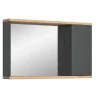 Hioshop Nuaro spiegelkast 1 deur grijs