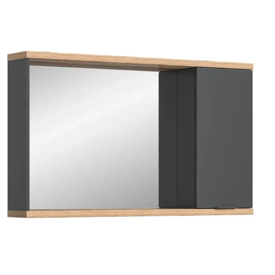 Hioshop Nuaro spiegelkast 1 deur grijs