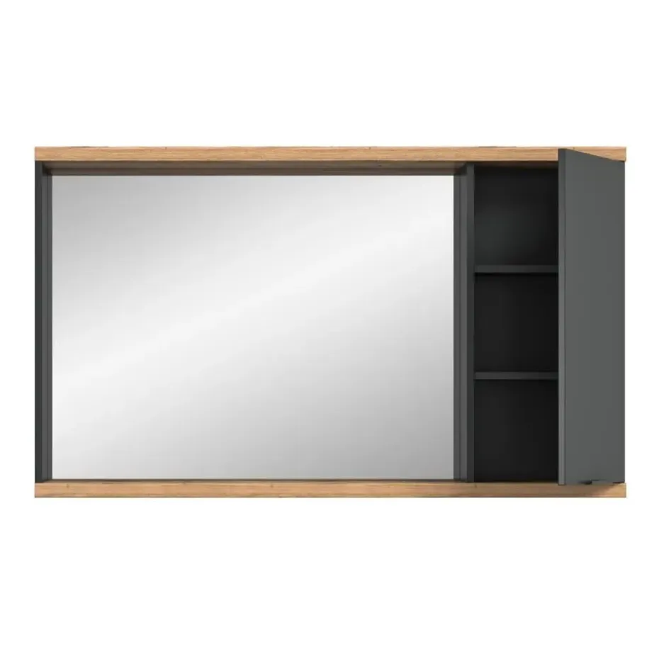 Hioshop Nuaro spiegelkast 1 deur grijs