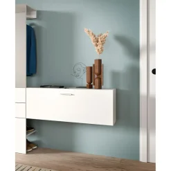 Hioshop Vaga schoenenkast wandgemonteerd 104x39cm 1 klepdeur wit