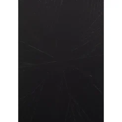 Housecraft Fabio Eettafel Rond Hout 120 cm Zwart