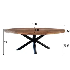 Industriële tafel ovaal Oregon mangohout 180x100 cm - Mangohout - Bruin
