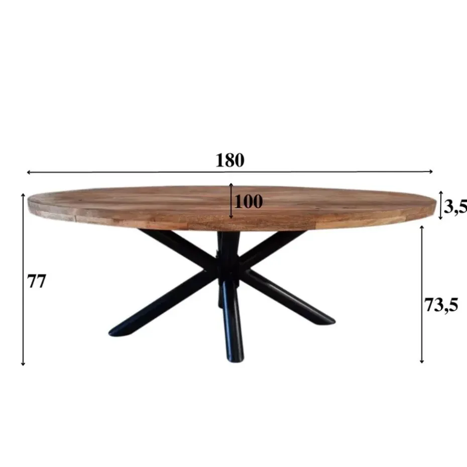 Industriële tafel ovaal Oregon mangohout 180x100 cm - Mangohout - Bruin