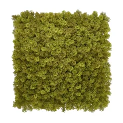Kunsthaag wandpanelen - Mospaneel legergroen - 100x100 cm
