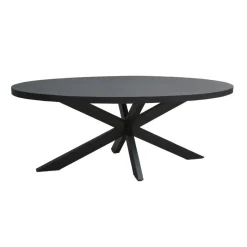 Livingfurn - Zwart Ovale Eetkamertafel - - Mango Hout - 210 cm
