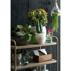 Mica Decorations Bloempot - groen - keramiek - 14 x 12 cm
