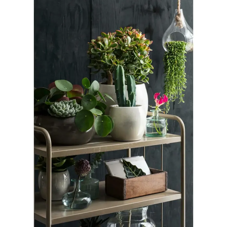 Mica Decorations Bloempot - groen - keramiek - 14 x 12 cm