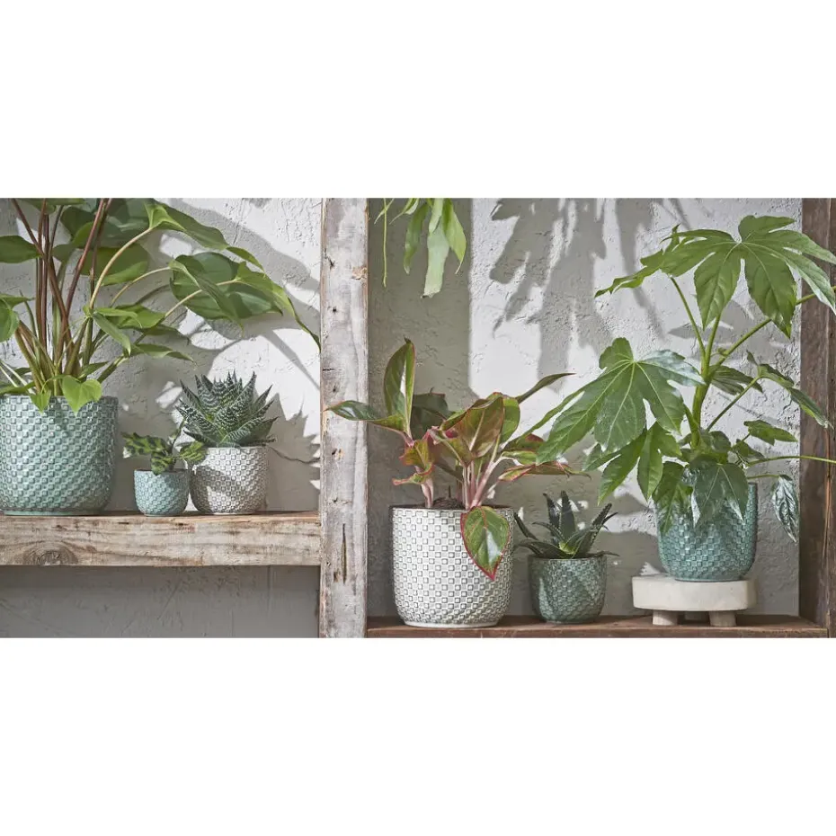 Mica Decorations Daan Bloempot - H17,5 x Ø19 cm - Groen