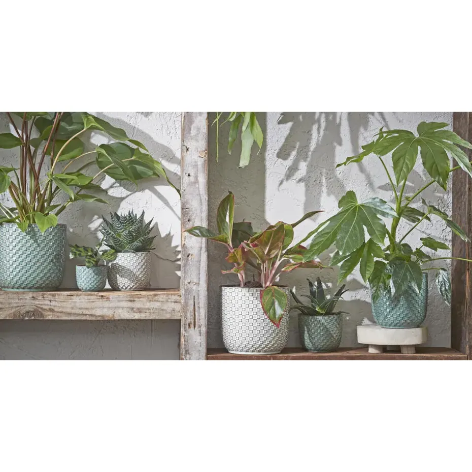 Mica Decorations Daan Bloempot - H17,5 x Ø19 cm - Groen