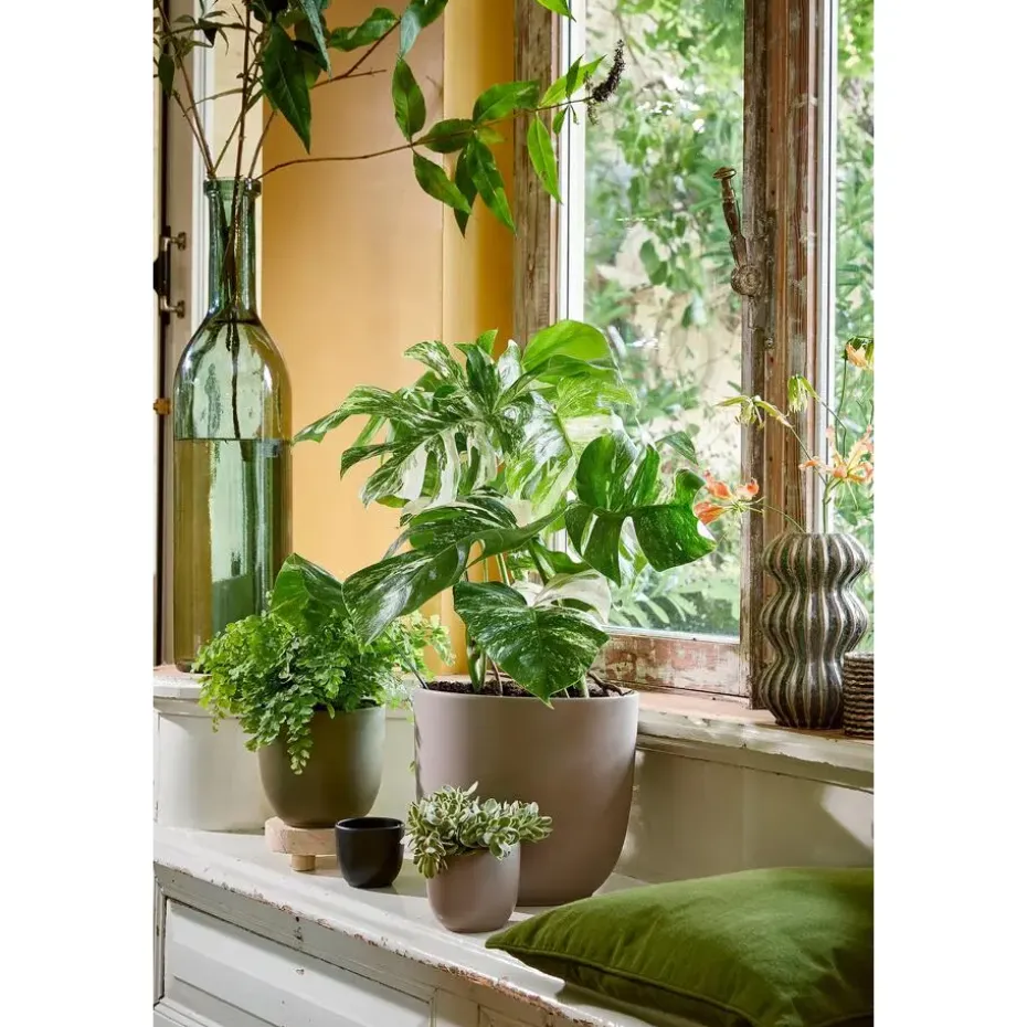 Mica Decorations Planten/bloempot Tusca - Zwart - D31/H28 cm