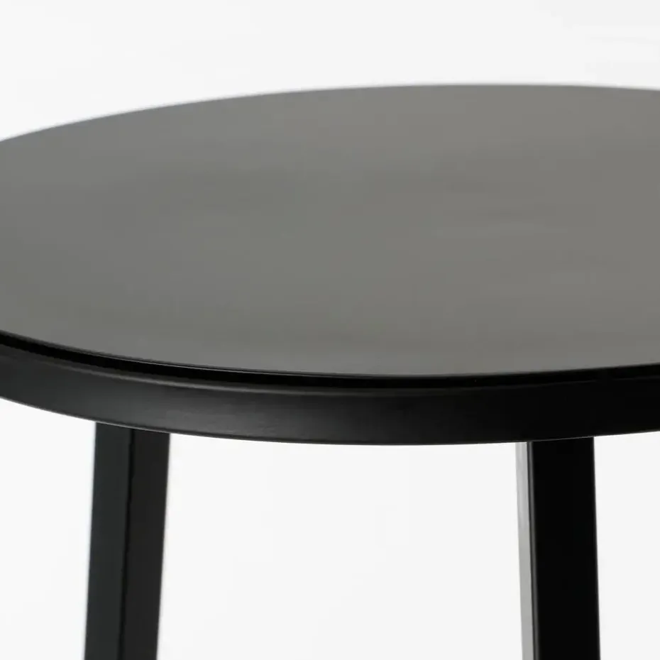 Mica Decorations Plantentafel - H80 x Ø30 cm - Metaal - Zwart