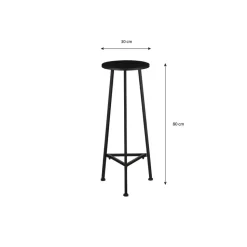 Mica Decorations Plantentafel - H80 x Ø30 cm - Metaal - Zwart