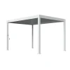 Orion Deluxe terrasoverkapping 300 x 400 cm wit
