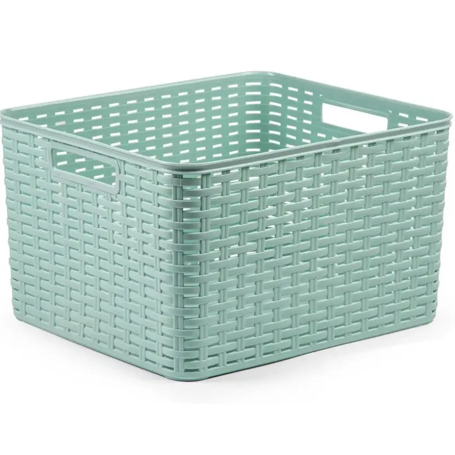 Plasticforte Opbergmand - Kastmand - kunststof - mintgroen - 28L
