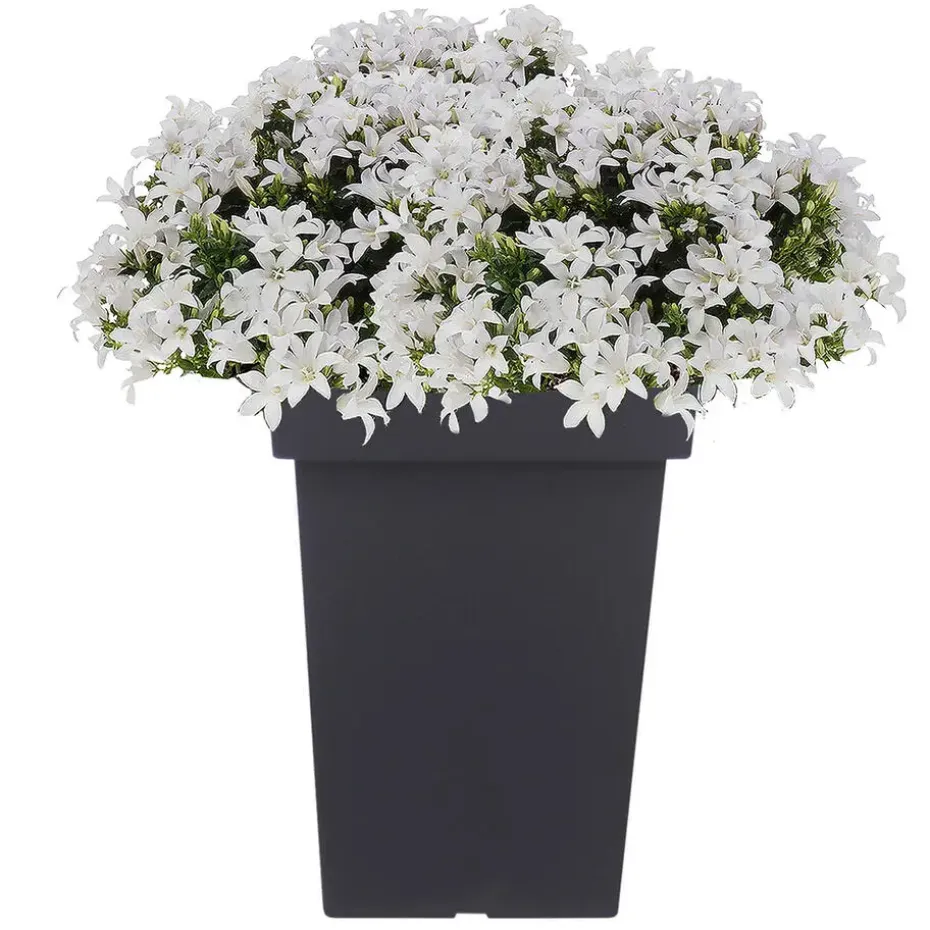 Prosperplast Bloempot - kunststof - antraciet - 29 x 44 cm