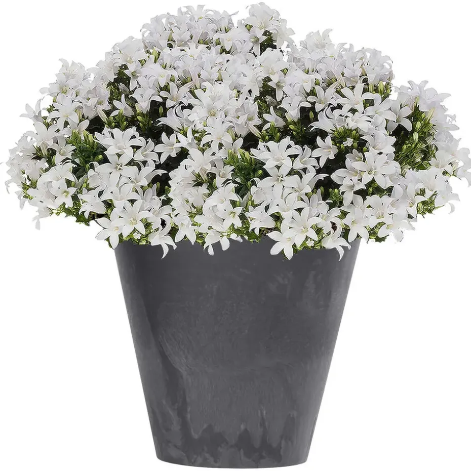 Prosperplast plantenpot - kunststof - antraciet - D40 x H37 cm