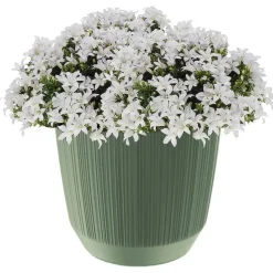 Prosperplast Plantenpot - stripe - olijfgroen - D20xH17 cm