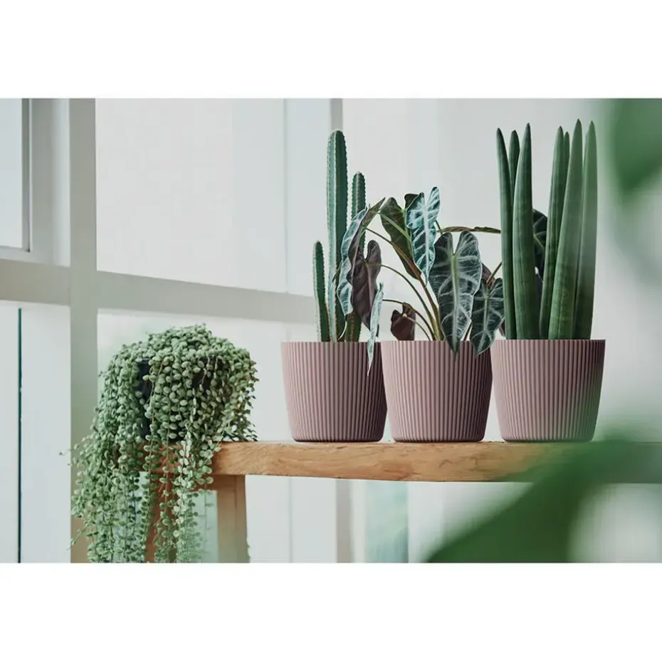Prosperplast Plantenpot Buckingham - ivoor wit - D39 cm