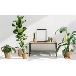 Prosperplast Plantenpot Buckingham - ivoor wit - D39 cm