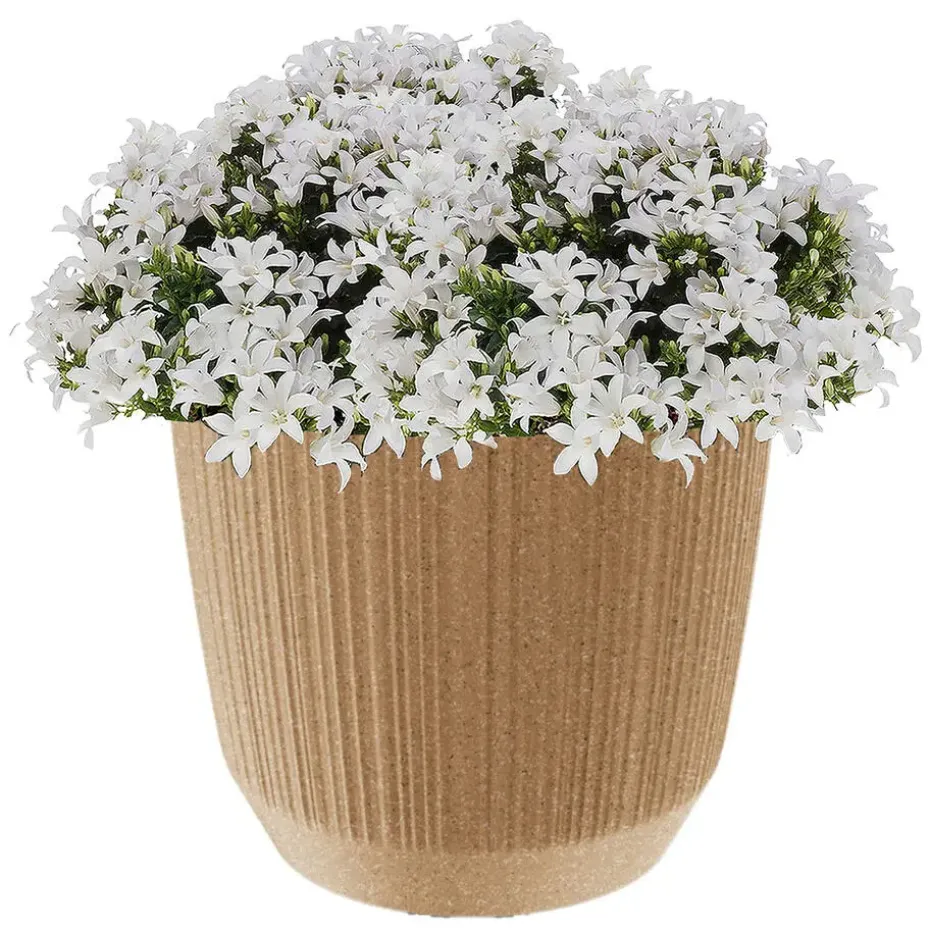Prosperplast Plantenpot Eco - stripe - beige - D20xH17 cm