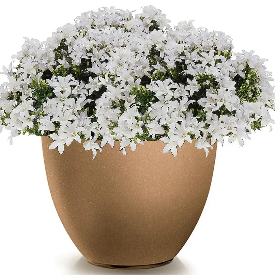 Prosperplast Plantenpot Sevilla - kunststof - hout/beige - D39 cm