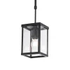 Qazqa hanglampen buiten charlois zwart e27