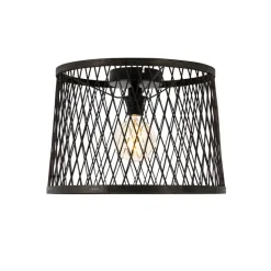Qazqa plafondlampen buiten calamus zwart e27