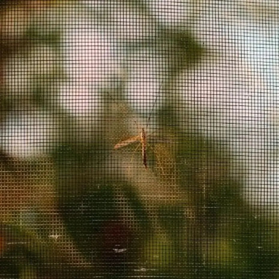 Raamhor 130x150 anti-insect