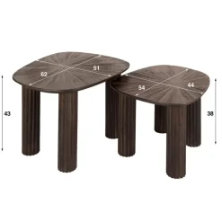 Salontafel - Vierhoekig - Set Van 2 - Teakhout - Maya